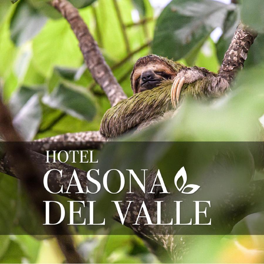 Casona Del Valle Potrerillos Dış mekan fotoğraf